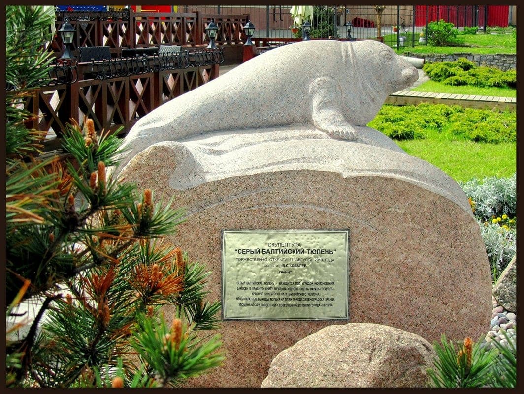Скульптура "Серый балтийский тюлень"